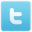 Twitter - Bush Pillow